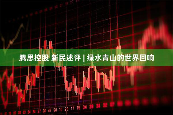 腾思控股 新民述评 | 绿水青山的世界回响